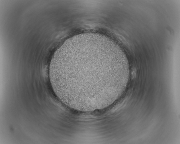 X0000112381156200909031946