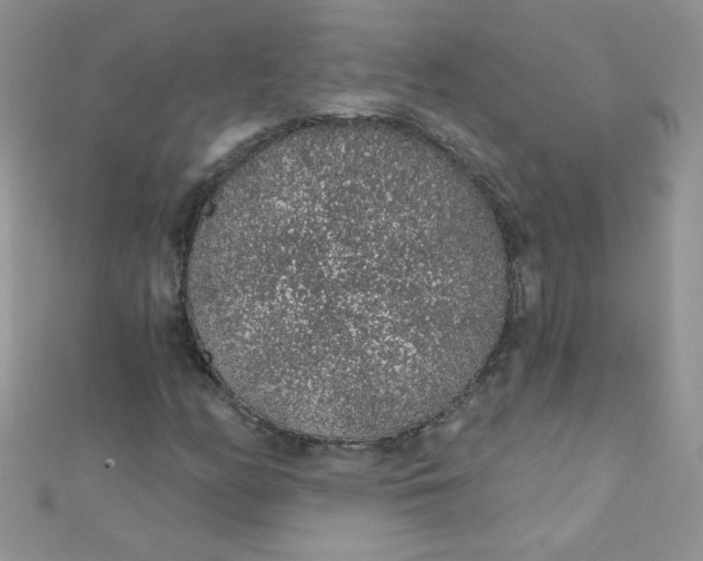 X0000112381158200909031946