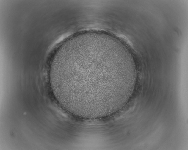 X0000112381159200909031946