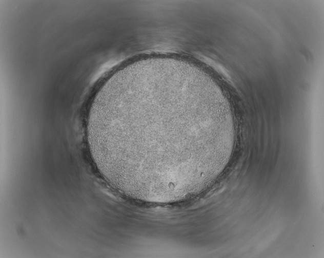 X0000112381160200909031946