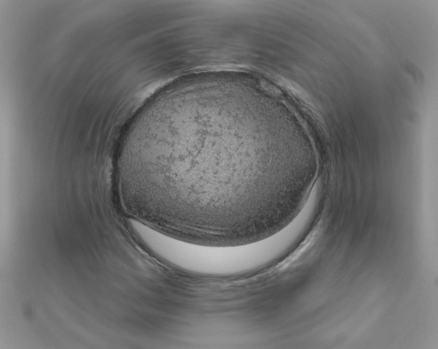 X0000112381161200909031946