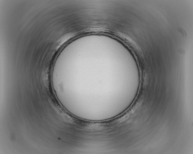 X0000112381162200909031946