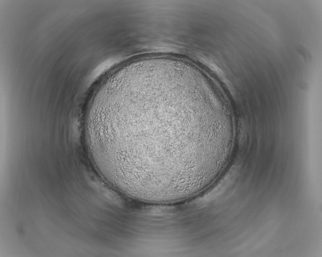 X0000112381163200909031946