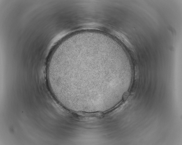 X0000112381164200909031946