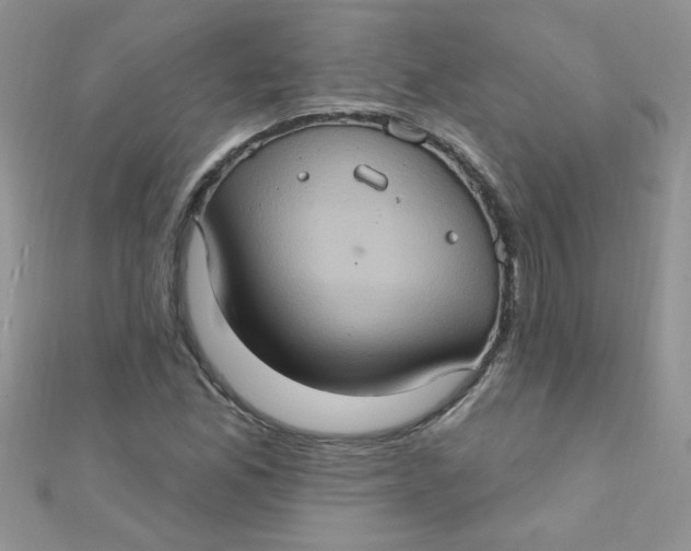 X0000112381165200909031946