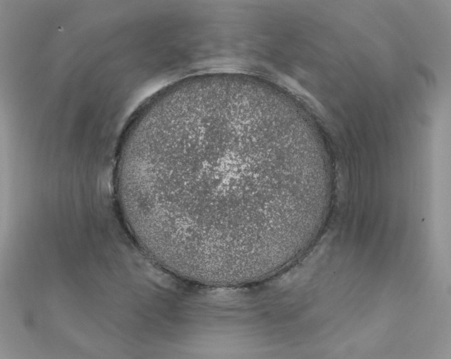 X0000112381166200909031946