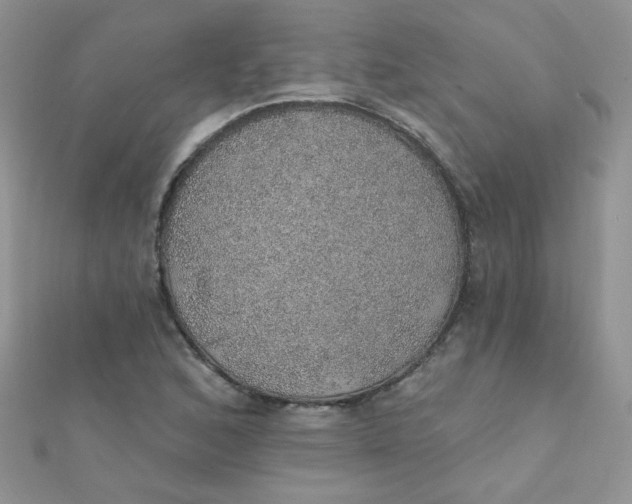 X0000112381168200909031946