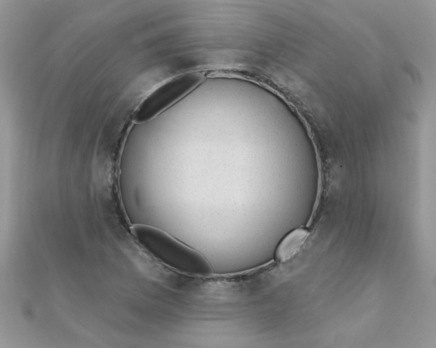 X0000112381169200909031946