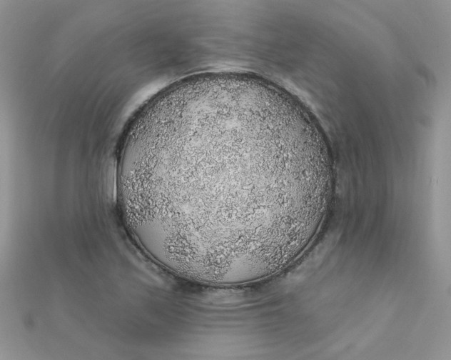 X0000112381171200909031946