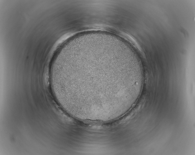 X0000112381172200909031946