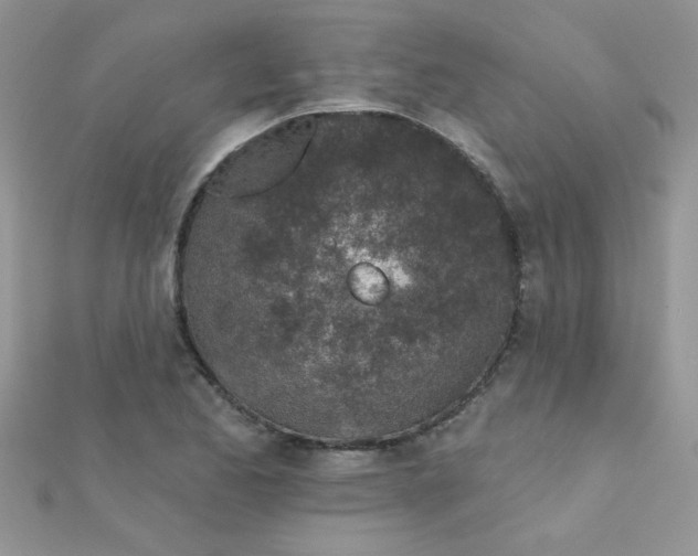 X0000112381173200909031946