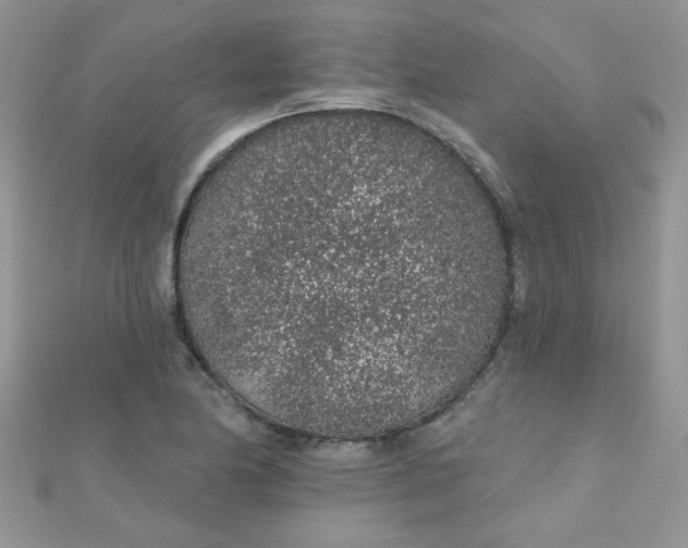 X0000112381174200909031946