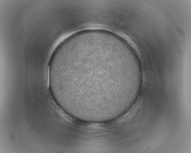 X0000112381175200909031946