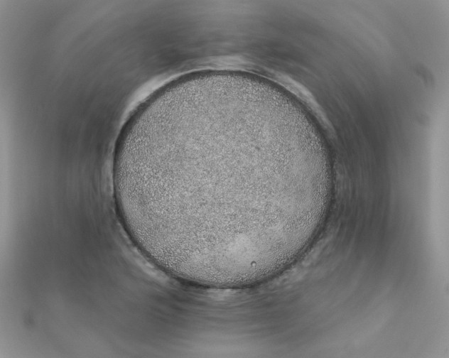 X0000112381176200909031946