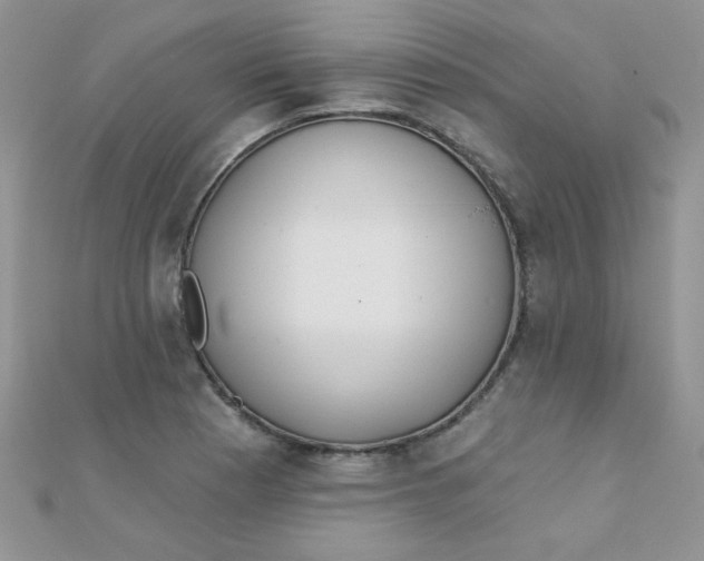 X0000112381177200909031946