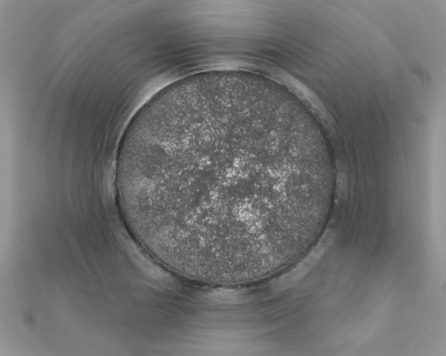 X0000112381178200909031946