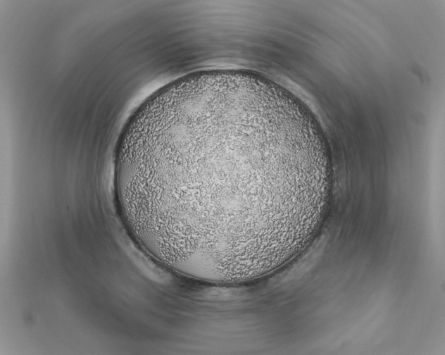 X0000112381179200909031946