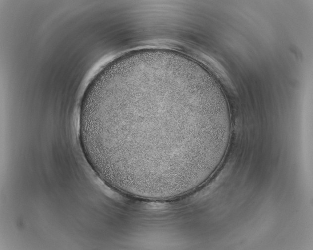 X0000112381180200909031946