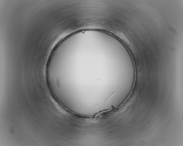 X0000112381181200909031946