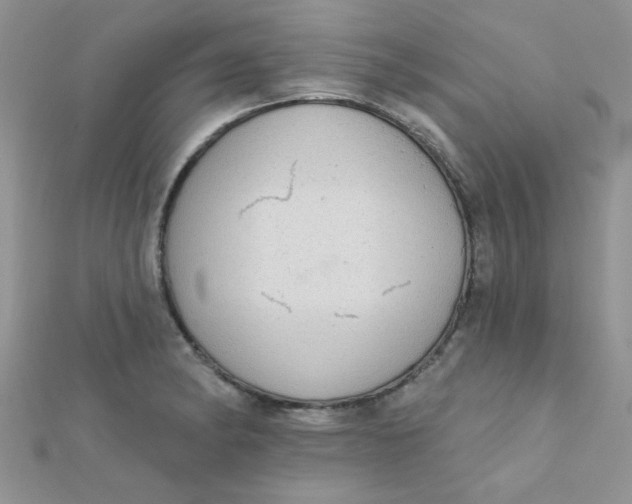 X0000112381182200909031946