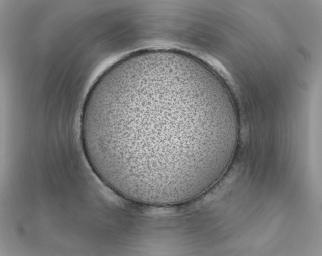 X0000112381183200909031946