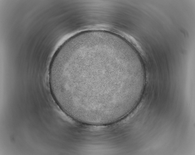 X0000112381184200909031946