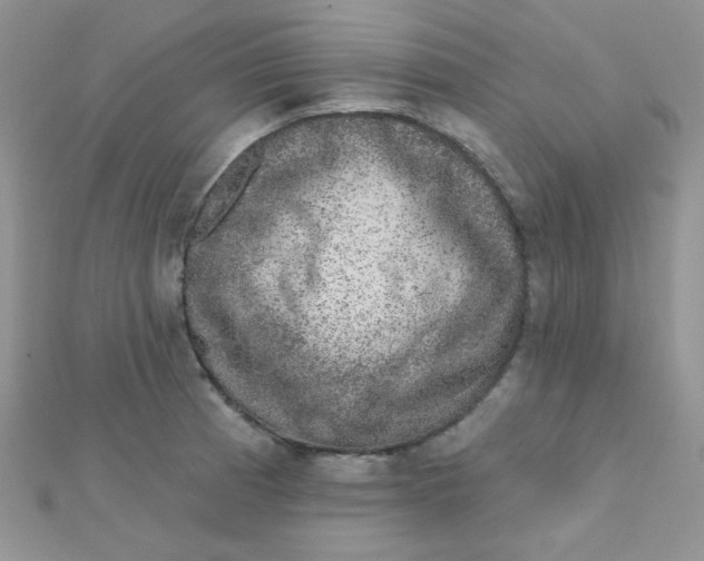 X0000112381185200909031946