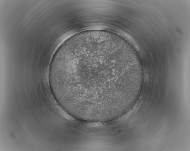 X0000112381186200909031946