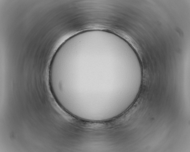 X0000112381187200909031946