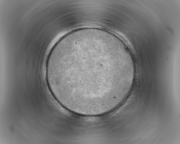 X0000112381188200909031946