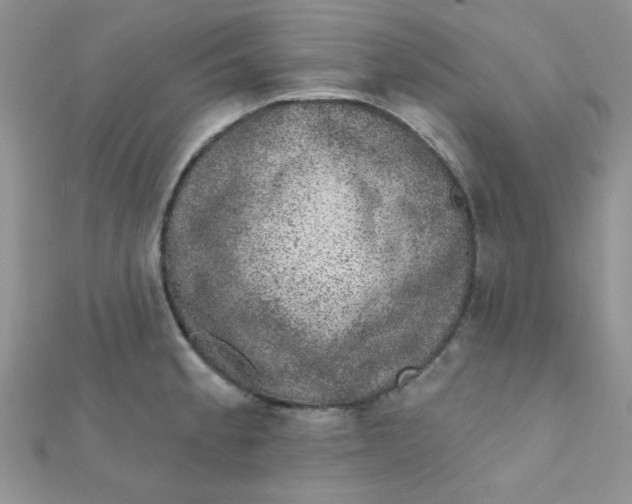 X0000112381189200909031946