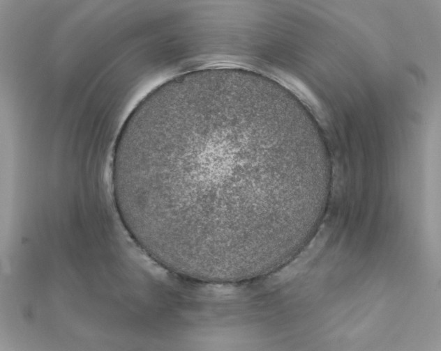 X0000112381190200909031946