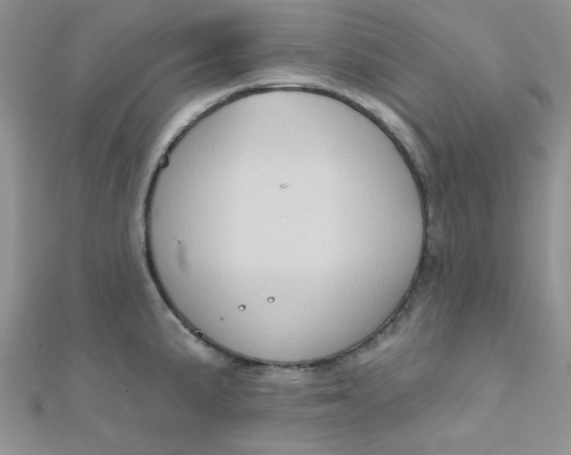 X0000112381191200909031946