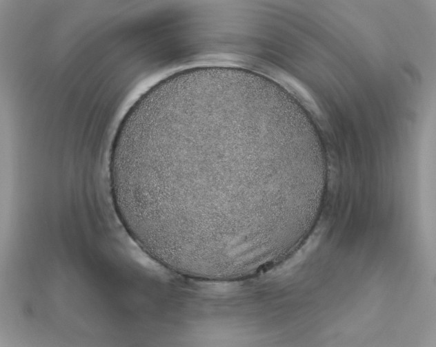 X0000112381192200909031946