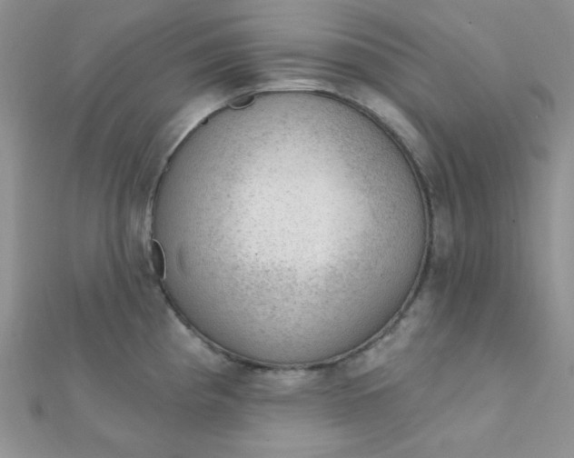 X0000112381193200909031946