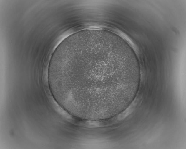 X0000112381194200909031946