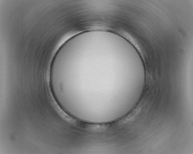 X0000112381195200909031946