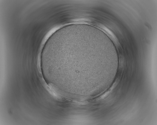 X0000112381196200909031946