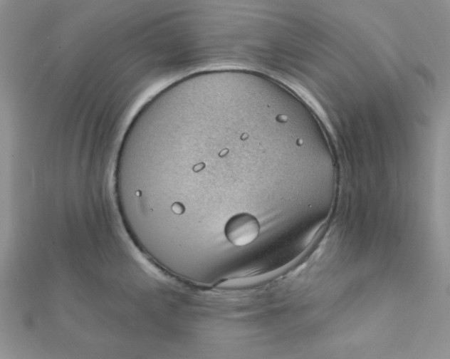 X0000112381197200909031946