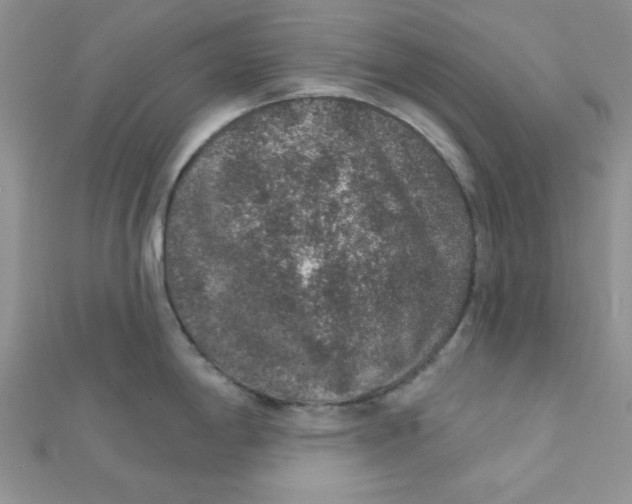 X0000112381198200909031946