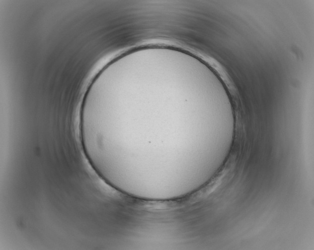 X0000112381199200909031946