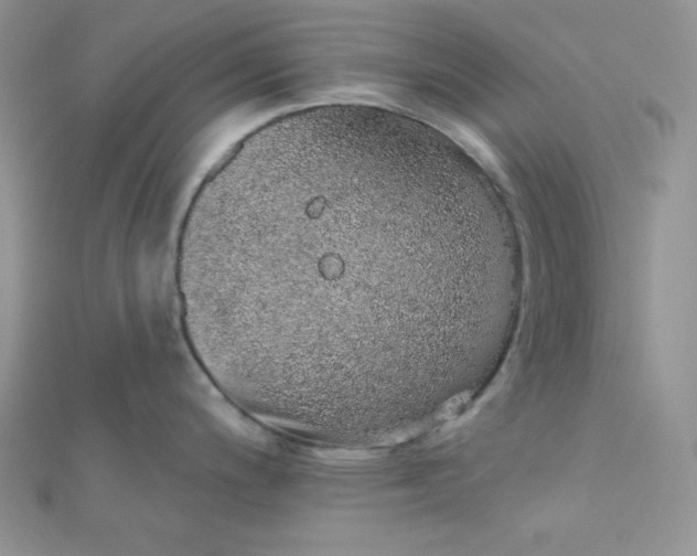 X0000112381200200909031946