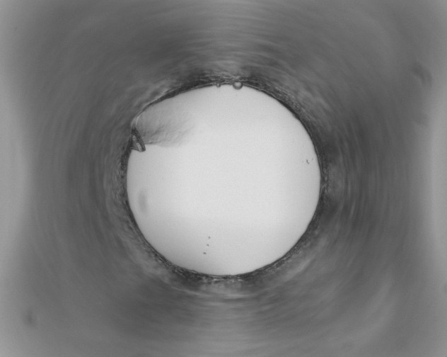 X0000112381201200909031945