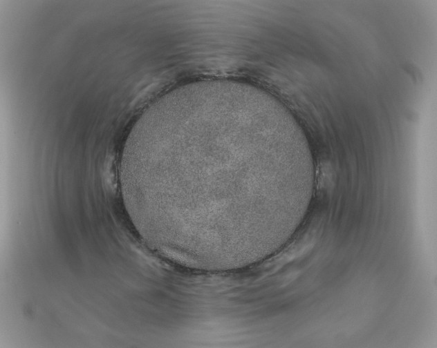 X0000112381202200909031945