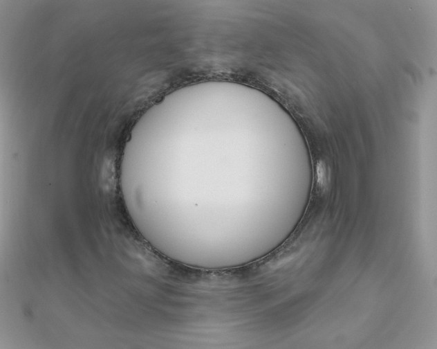 X0000112381203200909031945