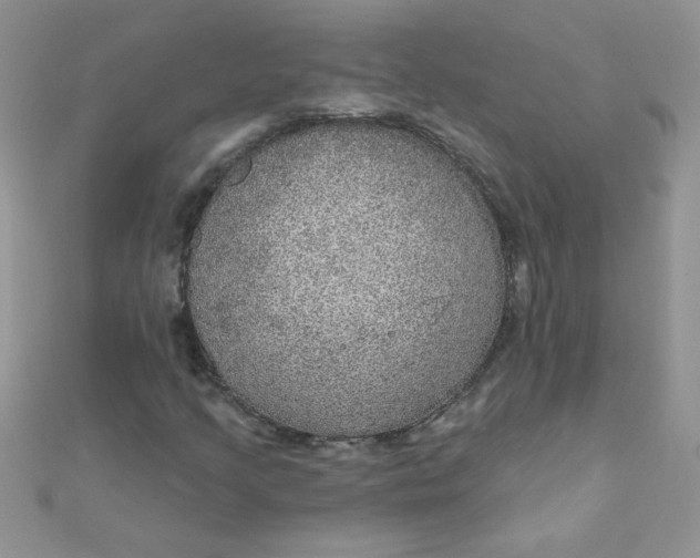 X0000112381205200909031945