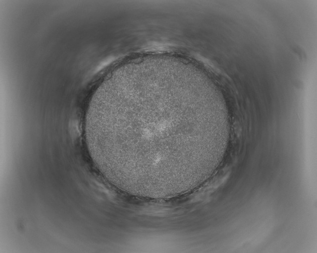 X0000112381206200909031945