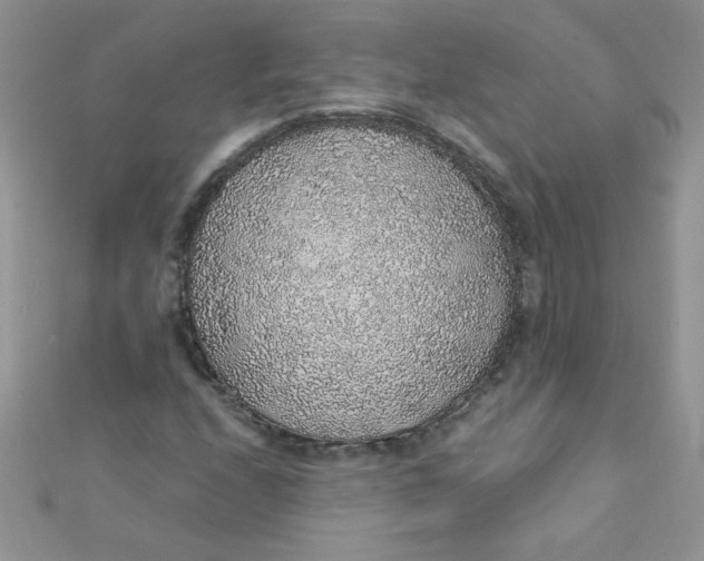 X0000112381208200909031945