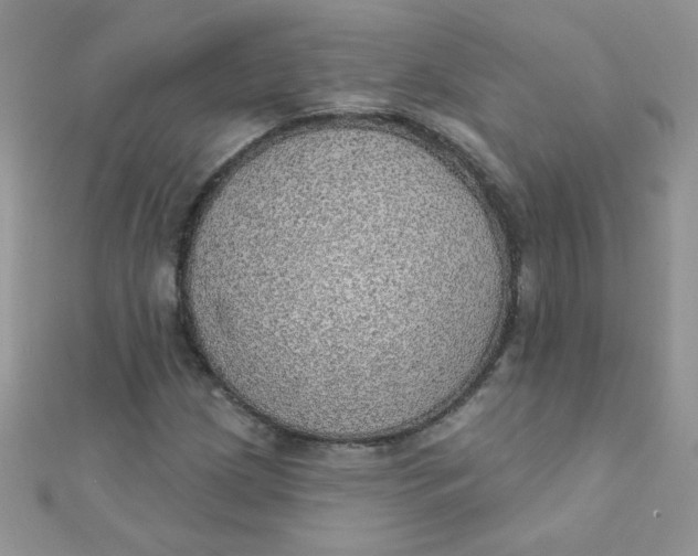 X0000112381209200909031945