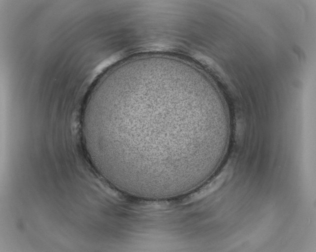 X0000112381210200909031945